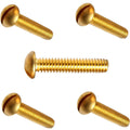 1/4-20 x 1/2' Round Head Machine Screws Kit Hardware Solid Brass Slotted Drive Pack of 100 Fastener Set LS11395F