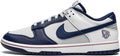 Nike Men's Dunk Low Retro Sneaker