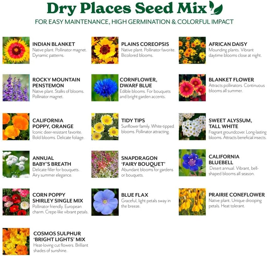 Grow Your Own Vibrant Annual and Perennial Wildflower Garden Mixture, Varieties for Pollinators and Spring Gardens - Dry Places Mix, 5 lbs
