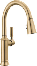 Delta Renaldi Kitchen Faucet with Pull Down Sprayer, Gold Kitchen Sink Faucet, Delta ProClean Kitchen Faucet, Pull Down Kitchen Faucet, Lumicoat Champagne Bronze 9184-CZ-PR-DST