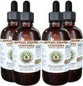 Lonicera Alcohol-Free Liquid Extract, Lonicera (Lonicera Japonica) Dried Flower Glycerite Hawaii Pharm Natural Herbal Supplement 4x4 oz