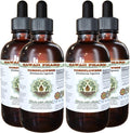 Hawaii Pharm Cornflower Alcohol-Free Liquid Extract, Cornflower (Centaurea Cyanus) Dried Flower Glycerite Natural Herbal Supplement 4x4 oz