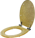 Toilet Seat Premium Glitter Toilet Seat, Bathroom Oval Shape Universal Toilet Seat with Soft Close and Quick Release, Adjustable Hinge for Easy Installation (One Color OneSize)