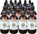Hawaii Pharm Pot Marigold Alcohol-Free Liquid Extract, Pot Marigold (Calendula Officinalis) Dried Flower Glycerite Natural Herbal Supplement 15x4 fl.oz