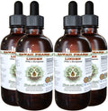 Hawaii Pharm Linden Alcohol-Free Liquid Extract, Professional Grade, Small Batch Linden (Tilia x Europaea) Dried Leaf and Flower Glycerite 4x4 oz