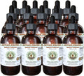 Hawaii Pharm Mexican Tarragon Alcohol-Free Liquid Extract, Professional Grade, Small Batch Mexican Tarragon (Tagetes Lucida) Dried Steam and Flower Glycerite, 15x4 oz