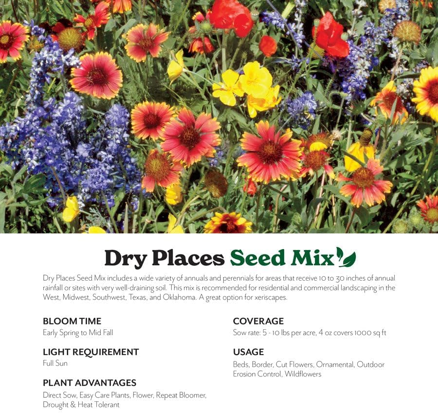 Grow Your Own Vibrant Annual and Perennial Wildflower Garden Mixture, Varieties for Pollinators and Spring Gardens - Dry Places Mix, 5 lbs