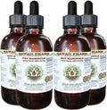 Hawaii Pharm Pot Marigold Alcohol-Free Liquid Extract, Pot Marigold (Calendula Officinalis) Dried Flower Glycerite Natural Herbal Supplement 4x4 fl.oz