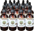 Red Cotton Tree Alcohol-Free Liquid Extract, Red Cotton Tree (Gossampinus Malabarica) Dried Flower Glycerite Natural Herbal Supplement, Hawaii Pharm, 15x4 fl.oz