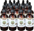 Hawaii Pharm Linden Alcohol-Free Liquid Extract, Professional Grade, Small Batch Linden (Tilia x Europaea) Dried Leaf and Flower Glycerite 15x4 oz
