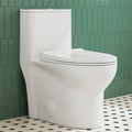 Eridanus One Piece Toilet, Elongated with Soft Closing Seat, Small Compact Toilet with 16⅜' Height Seat, Powerful & Quiet Dual Flush (1.1/1.6 GPF), 12' Rough-In