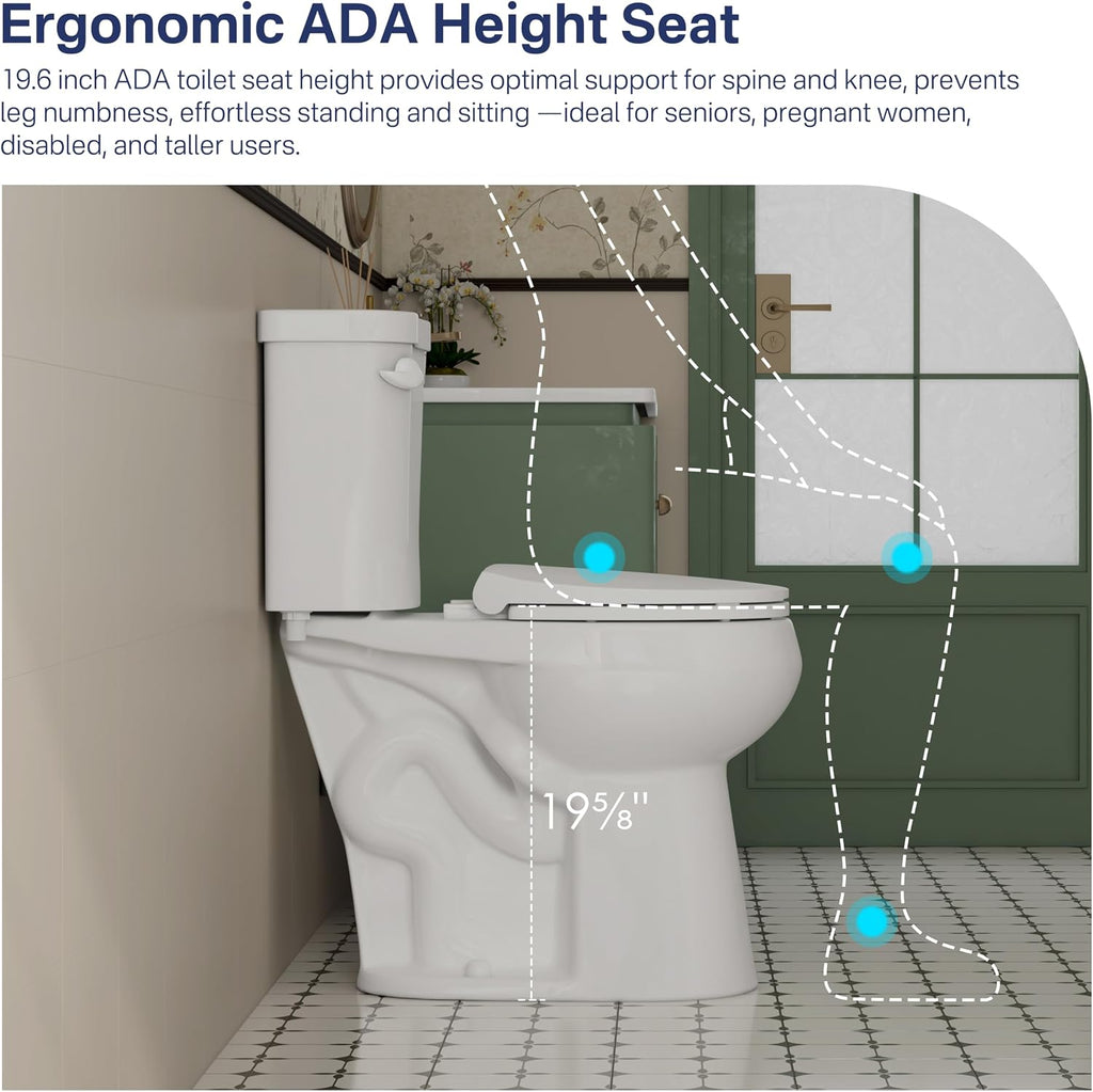 Eridanus Tall Two Piece Toilet, ADA Compliant Height 19', Round Toilets Bowl with Soft Close Seat, 1.28 GPF, 12' Rough-In, for Elderly, Pregnant, Handicap,Taller