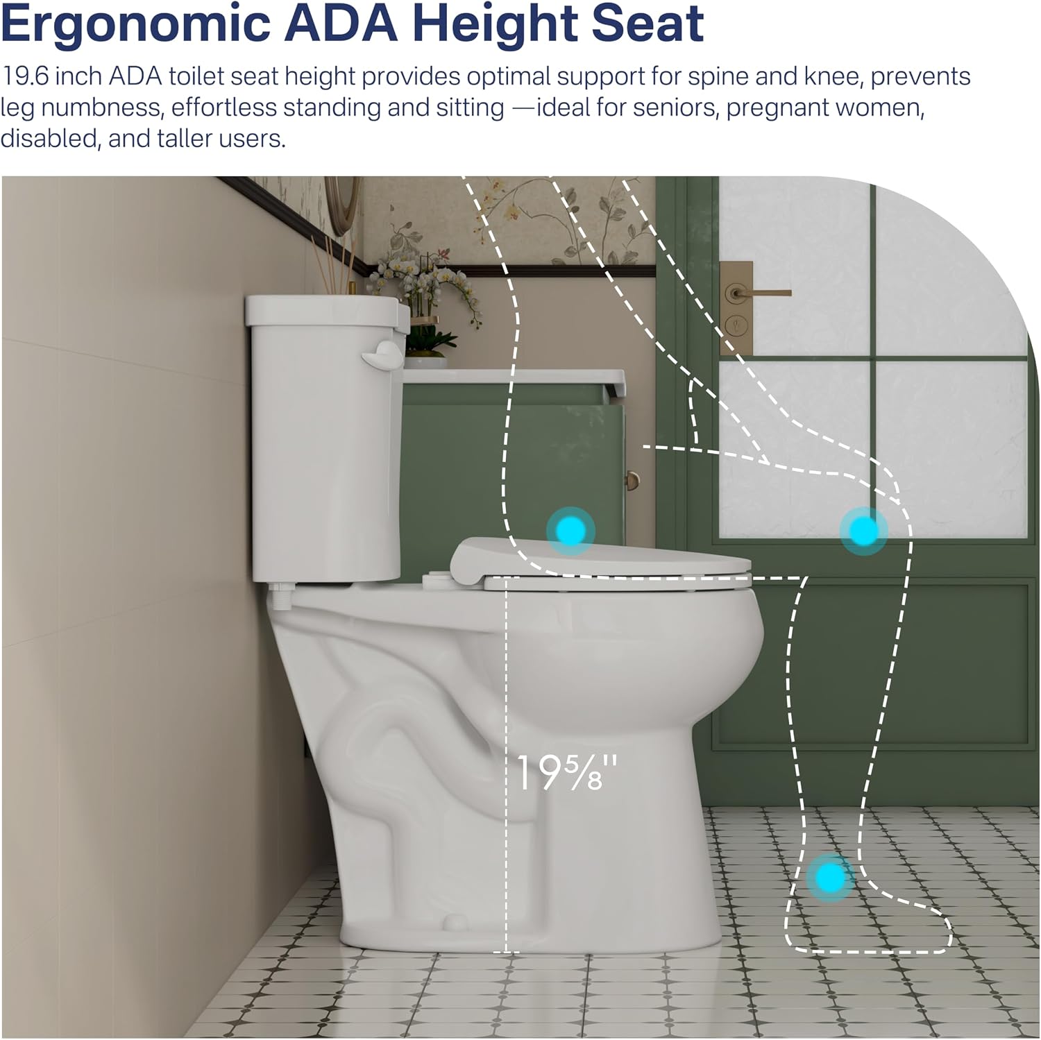 Eridanus Tall Two Piece Toilet, ADA Compliant Height 19', Round Toilets Bowl with Soft Close Seat, 1.28 GPF, 12' Rough-In, for Elderly, Pregnant, Handicap,Taller