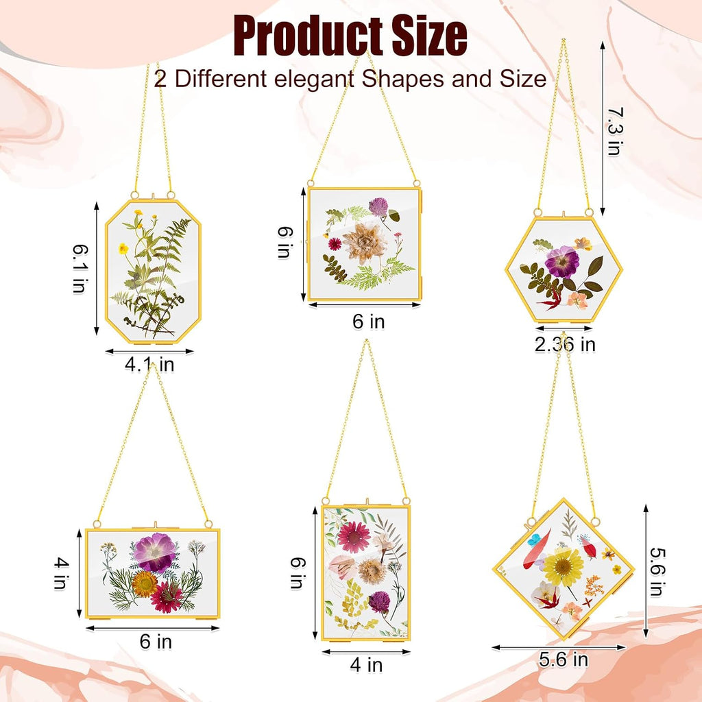 Soaoo 24 Pcs Brass Glass Frame for Pressed Flowers with Chain Clear Double Glass Floating Artwork Display Frame for Wall Decor with Dried Plant Leaf, 6 Shapes (Gold)