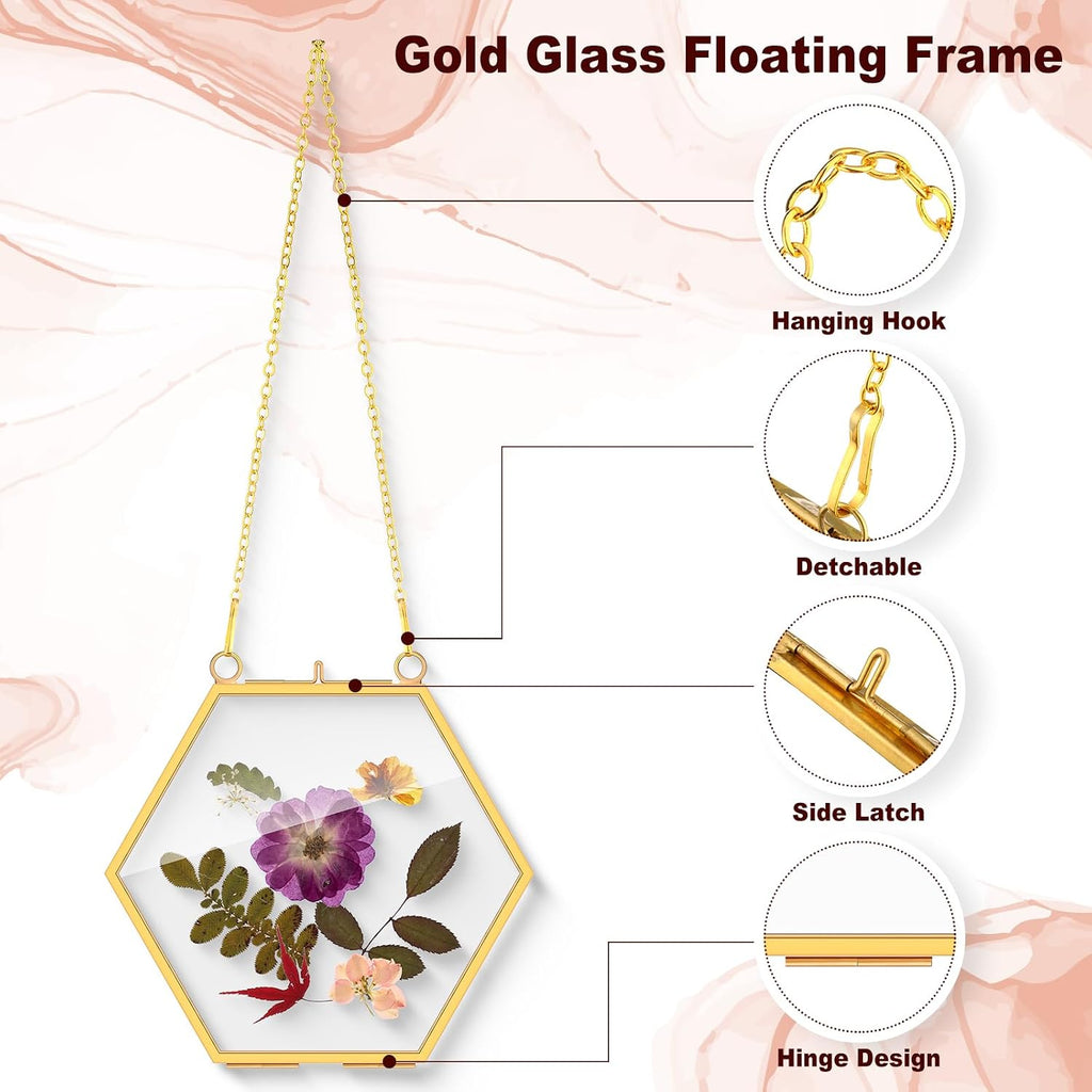 Soaoo 24 Pcs Brass Glass Frame for Pressed Flowers with Chain Clear Double Glass Floating Artwork Display Frame for Wall Decor with Dried Plant Leaf, 6 Shapes (Gold)