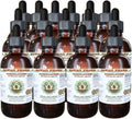 Hawaii Pharm Cornflower Alcohol-Free Liquid Extract, Cornflower (Centaurea Cyanus) Dried Flower Glycerite Natural Herbal Supplement 15x4 oz