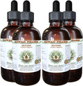 Hawaii Pharm Heather Alcohol-Free Liquid Extract, Heather (Calluna Vulgaris) Dried Leaf and Flower Glycerite Natural Herbal Supplement 4x4 oz