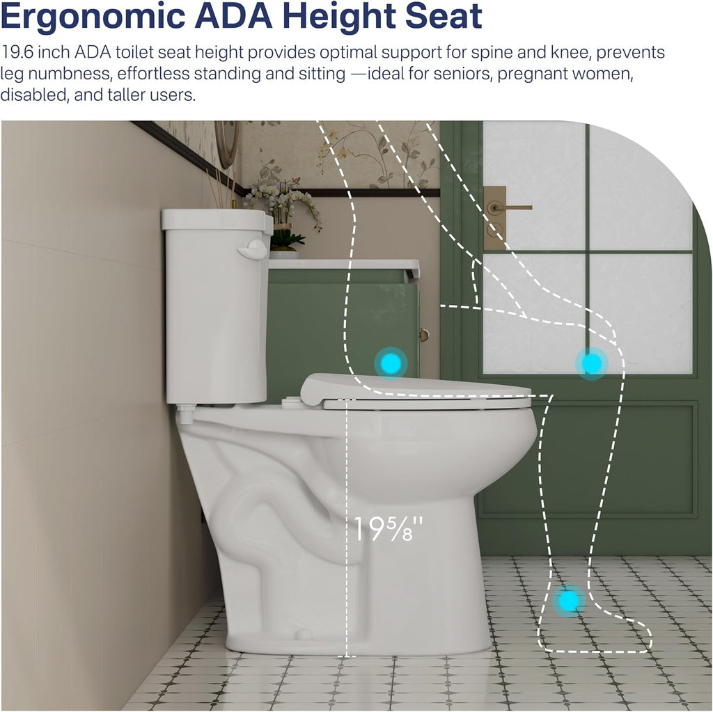 Eridanus Tall Two Piece Toilet, ADA Compliant Chair Height 19.7', Elongated Toilets Bowl 19' with Soft Close Seat, Single Flush 1.28 GPF Powerful Siphon, 12' Rough-In Floor Mounted Commode for Seniors
