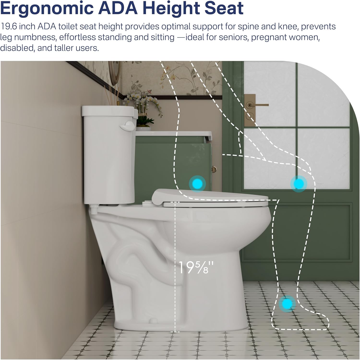 Eridanus Tall Two Piece Toilet, ADA Compliant Chair Height 19.7', Elongated Toilets Bowl 19' with Soft Close Seat, Single Flush 1.28 GPF Powerful Siphon, 12' Rough-In Floor Mounted Commode for Seniors