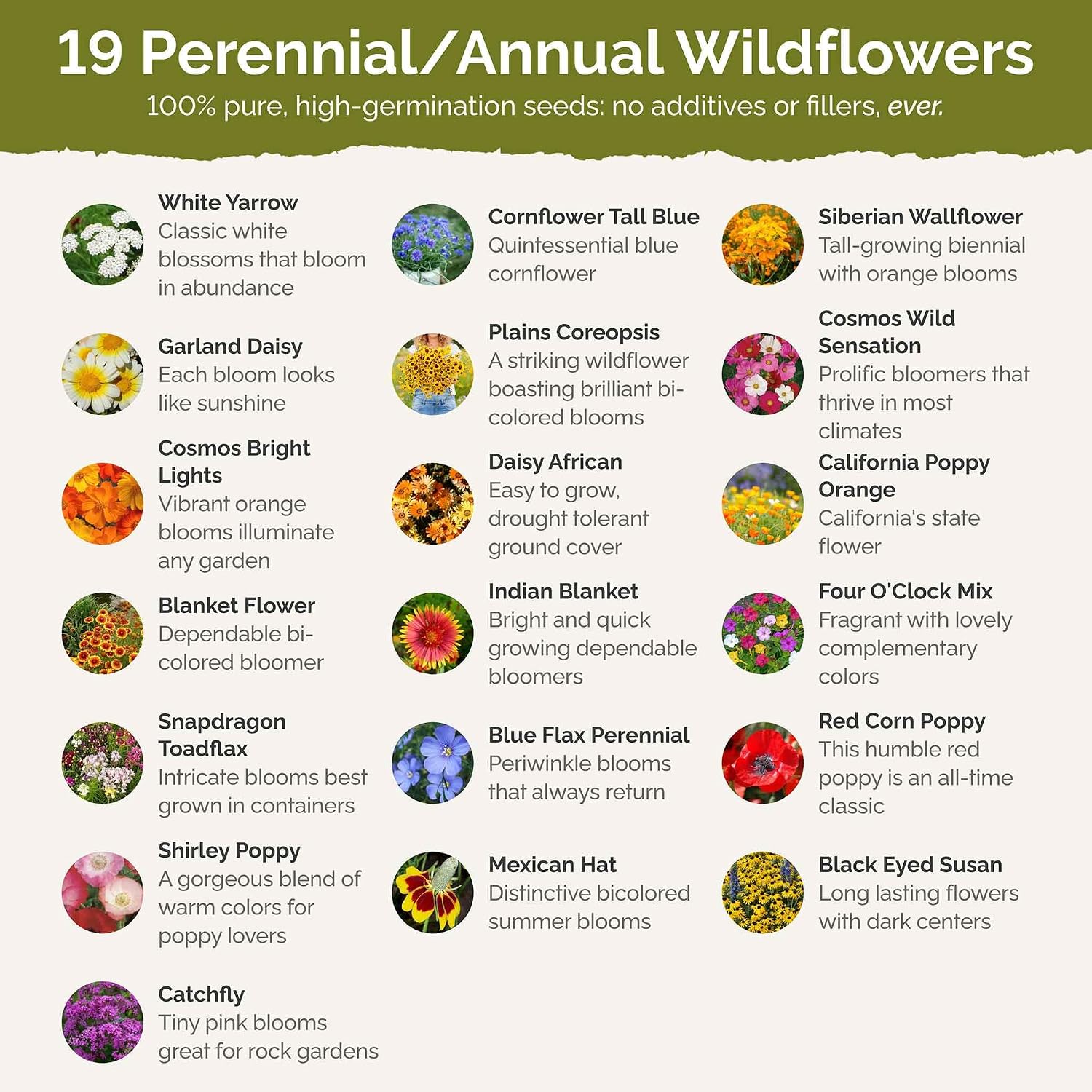 Eden Brothers Dry Area Wildflower Mixed Seeds for Planting, 10 lb, 4,800,000+ Seeds with Cosmos, African Daisy, Blue Flax | Attracts Pollinators, Plant in Spring or Fall, Zones 3, 4, 5, 6, 7, 8, 9, 10