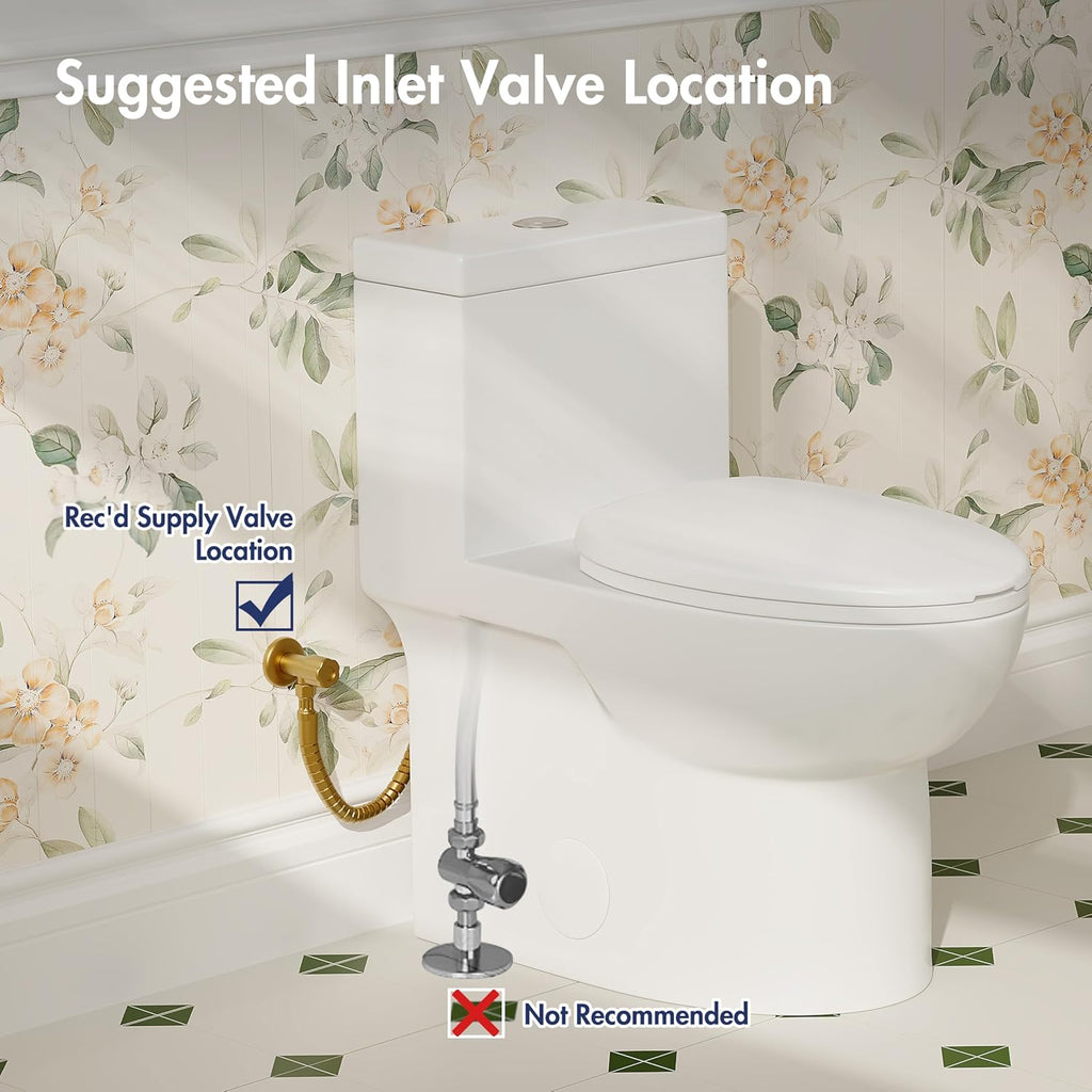 Eridanus One Piece Toilets for Bathroom, Elongated Toilet with Compact Soft Closing Seat, ADA Compliant 17' Toilet Bowl, 12' Rough in, Powerful Dual Flush 1.1/1.6 GPF, Modern Ceramic White