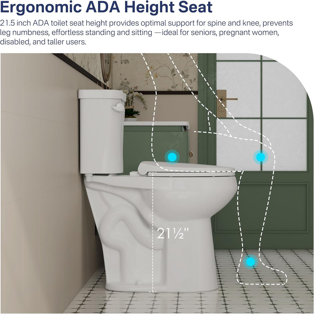 Eridanus Extra Tall Two Piece Toilet, ADA Compliant Chair Height 21.5', Elongated Toilets Bowl 21' with Soft Close Seat, 1.28 GPF Single Flush, 12' Rough-In, High Toilet for Senior, Pregnant, Handicap