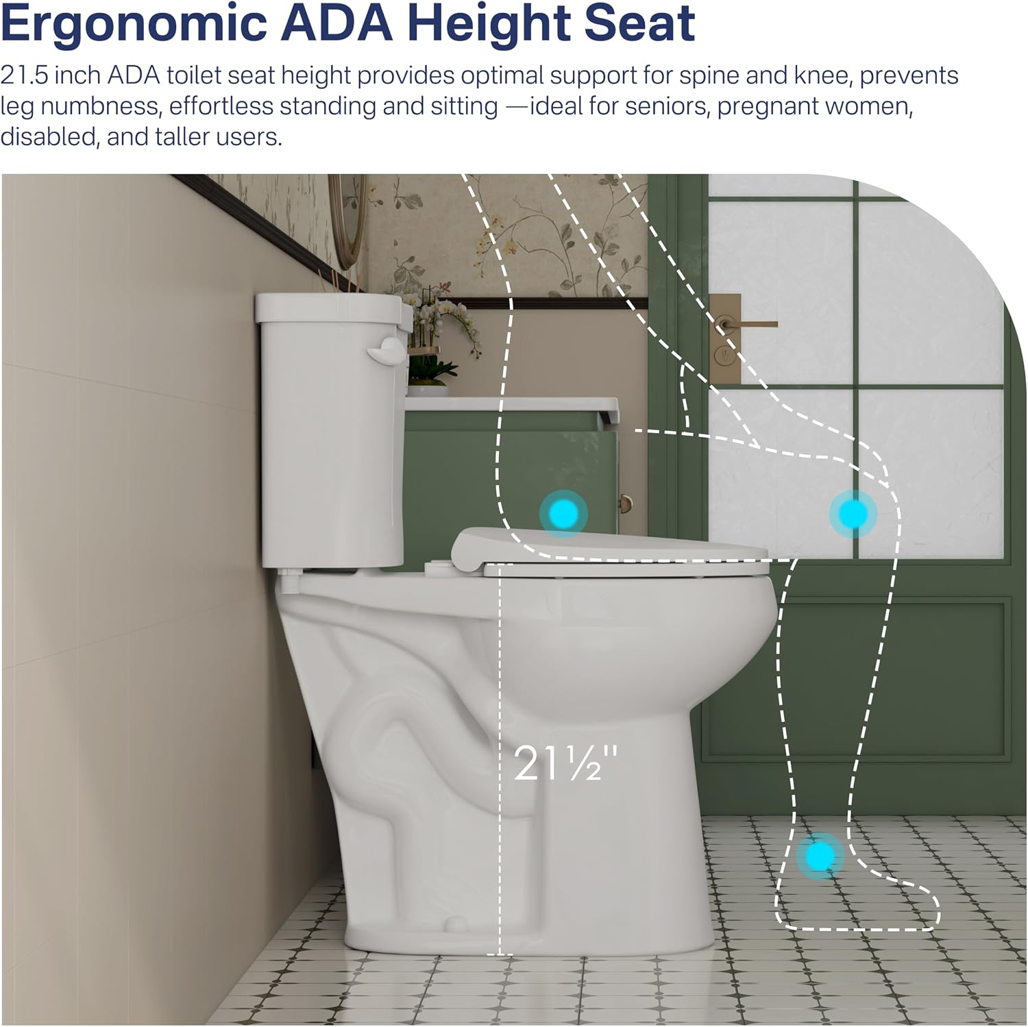 Eridanus Extra Tall Two Piece Toilet, ADA Compliant Chair Height 21.5', Elongated Toilets Bowl 21' with Soft Close Seat, 1.28 GPF Single Flush, 12' Rough-In, High Toilet for Senior, Pregnant, Handicap